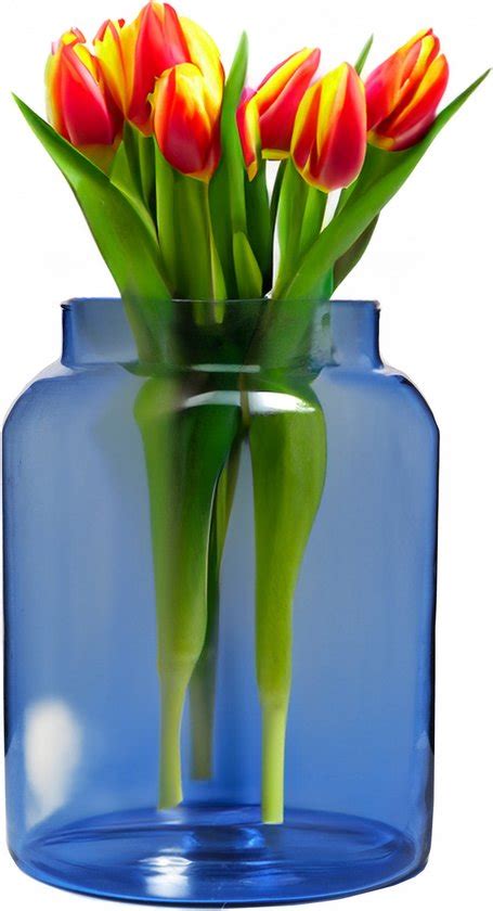 Hakbijl Glass Bloemenvaas Shape Transparant Blauw Eco Glas D X