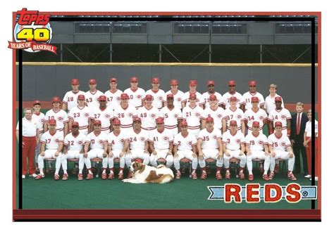 1991 Cincinnati Reds Team Card That Never Was Red Team Cincinnati