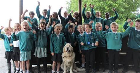 Puppy Love For School From Ofsted After Even Its Pet Dog Praised