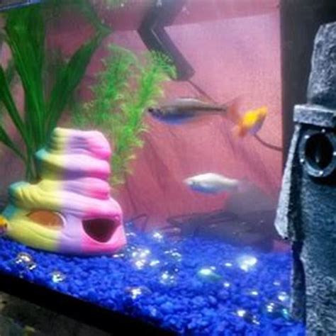 how to add new fish to an aquarium