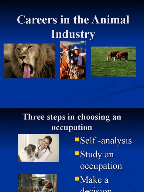 Careers In The Animal Industry Pdf Farms Laboratories