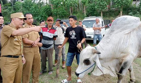 Bazar Hewan Kurban Tanggamus 2024 Dibuka Diharapkan Bisa Tingkatkan