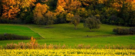 Meadow Autumn Wallpapers - Wallpaper Cave