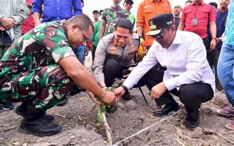 Pemkab Sidrap Siapkan 1 500 Ha Lahan Untuk Budidaya Pisang Pluz Id