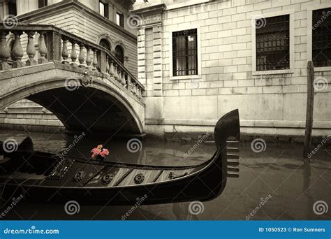 Pink Flowers And Gondola Stock Image Image Of Serene 1050523