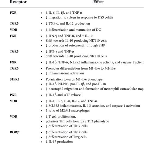 Effects of Bile Acid Receptor Activation in Immune Cells. | Download Scientific Diagram