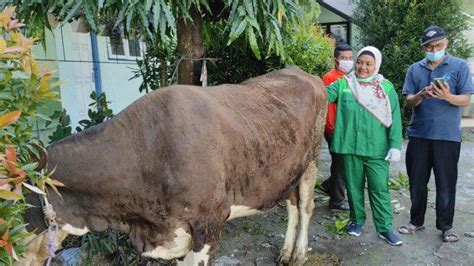 Warga Muhammadiyah Kota Blitar Mulai Potong Hewan Kurban Hari Ini