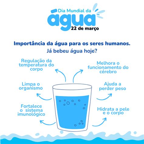 Por Qual Motivo Foi Criado O Dia Da água