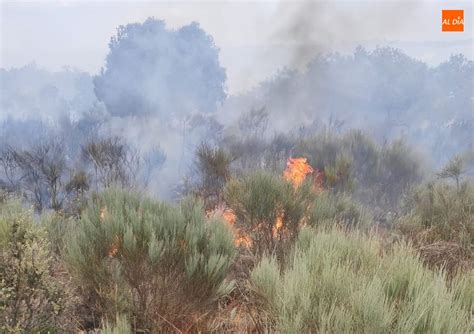 Medios aéreos y terrestres luchan contra varios incendios en El