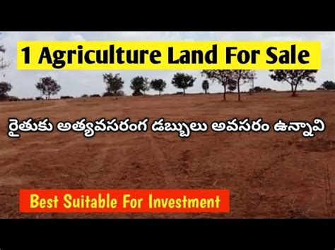 1 Acre Agriculture Land For Sale In Telangana Warangal Highway