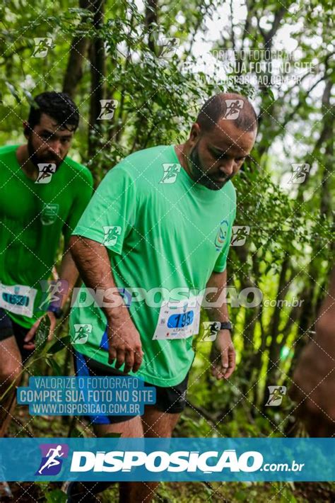 Disposi O Hist Rias No Esporte Inscri Es Foto E V Deo De Esporte