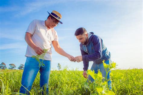 Pós Graduação em Agronomia abre inscrições para Doutorado em fluxo