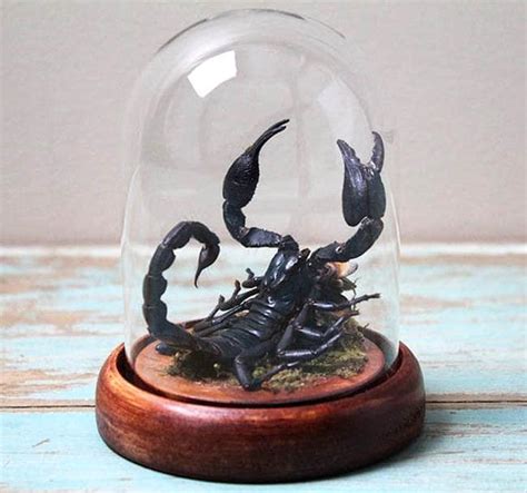 Awesome Scorpio Gifts That Every Scorpion Will Want