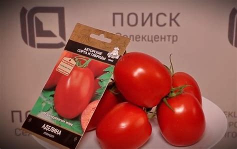 Томат Аделина: описание сорта, ОТЗЫВЫ (15), фото | tomatland.ru