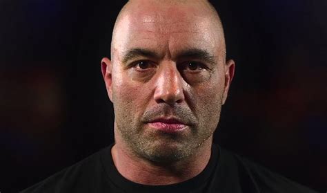 Joe Rogan 1255 Spotify Exploring The Impact And Insights Of His Podcast