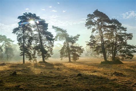 The Hoge Veluwe National Park | Visit Ede