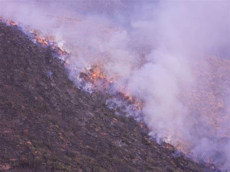 Los Incendios Provocados Ponen En Peligro La Biodiversidad De La