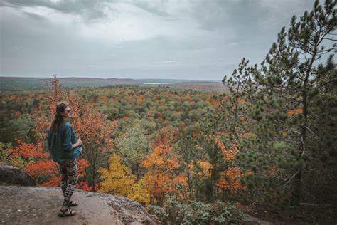 Guide To Visiting Algonquin Provincial Park, Ontario | Drink Tea & Travel