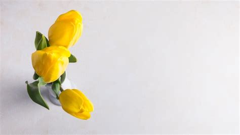 Gelbe Tulpen Im Vase Auf Grauer Tabelle Kostenlose Foto