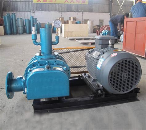 DSR200V Roots Vacuum Blower For Powder Conveying DSR V Roots Vacuum