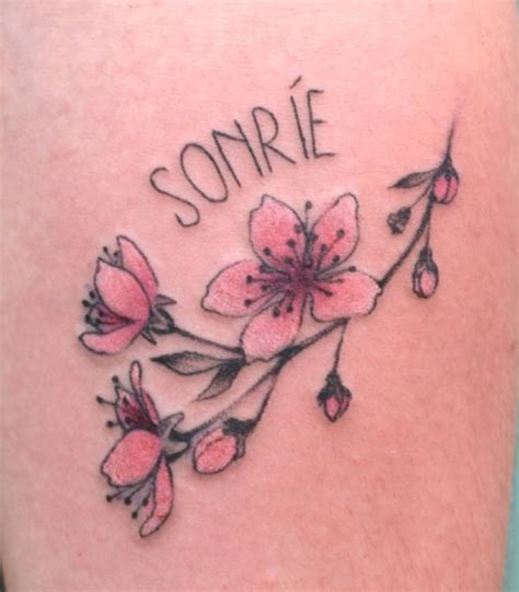 Pin De Herny A Secas En Flores Cerezo Tatuajes Flor De Cerezo Flores