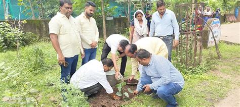 प्रथम नपा अध्यक्ष बुगल दुबे को उनके जयंती पर किया यादमित्रों ने पौधा