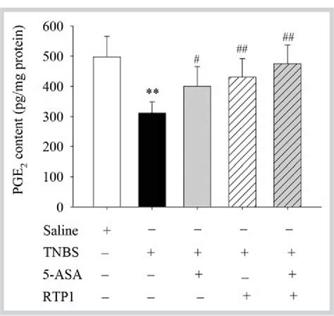 Effect Of RTP1 Plus 5 ASA On PGE 2 Content In TNBS Induced Colitis In