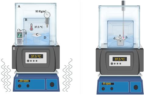 Applied Sciences Free Full Text A Comparative Study On The Effect