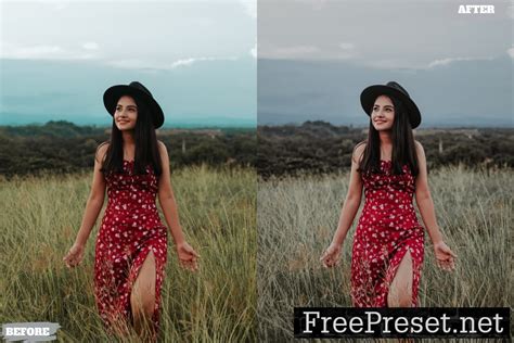 Smooth Potrait Lightroom Presets Dekstop Mobile G N Wp