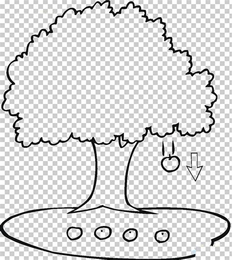 Apple Coloring Book Tree Leaf Branch PNG Clipart Adult Apple Bobbing