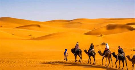 Marrakech Merzouga Day Desert Tour W Quad Camel Rides