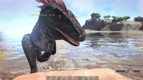 ARK Server Wipe YouTube