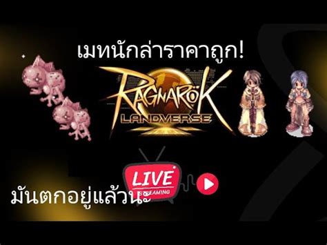 LIVE Ragnarok Landverse EP 28 Mage จะเปน Wizard เดกโขง วนนละ