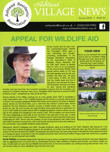 Ashtead Village News (AVN) | Ashtead Residents' Association