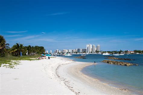 Snorkeling In Peanut Island Delightful And Accesible