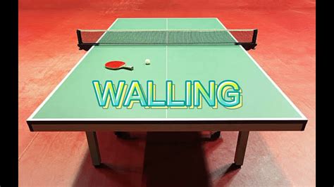 TABLE TENNIS BASIC TERMINOLOGIES AND FUNDAMENTAL SKILLS UCC BS ENTREP