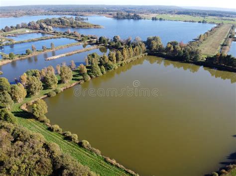 The View from the Drone on the Fish Ponds Stock Photo - Image of fish ...