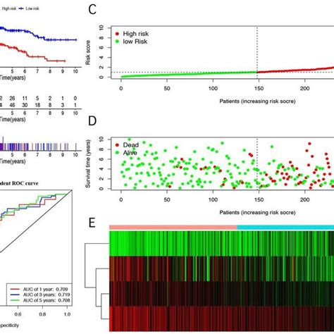 Prognostic Analysis Of The Entire Cohort Tcga Database And Geo