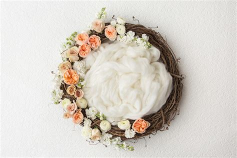 Newborn Digital Backdrop 003 - Half flower wreath