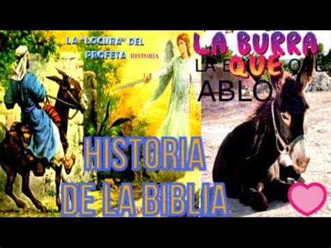 La Historia De Balaam Y La Burra Que Hablo Una Burra Con Sabiduria Que