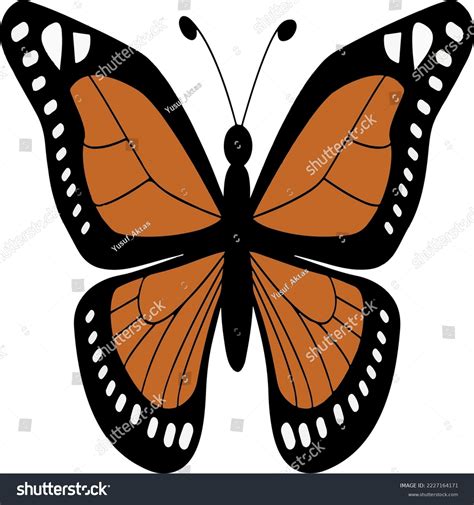 Vector Image High Detailed Ulysses Butterfly Stock Vector (Royalty Free ...