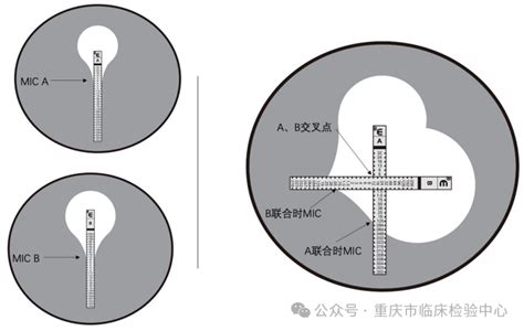 对抗cre，抗生素体外联合药敏试验知多少？全国体外诊断网（全国实验医学网）