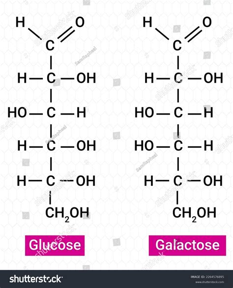 Chemical Structure Glucose Galactose Stock Vector (Royalty Free) 2264576895 | Shutterstock