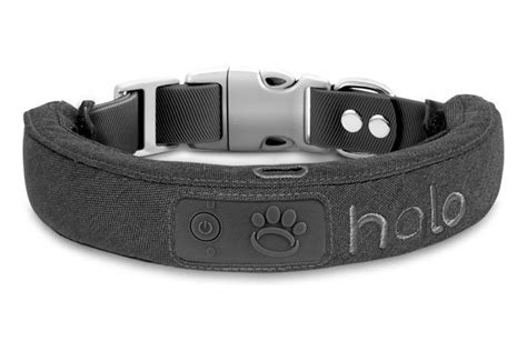 The 3 Best Smart Dog Collars of 2023