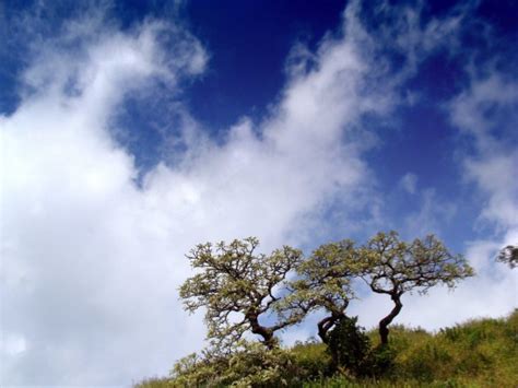 Trekking at Dukes Nose, Khandala - Khandala | TripPlatform