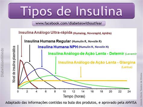 Quais são os tipos de insulina que existem? | Diabeticool