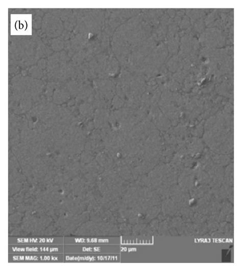 SEM Micrographs Of As Received Al 12Si 0 3Mg Alloy 2 And Sintered At