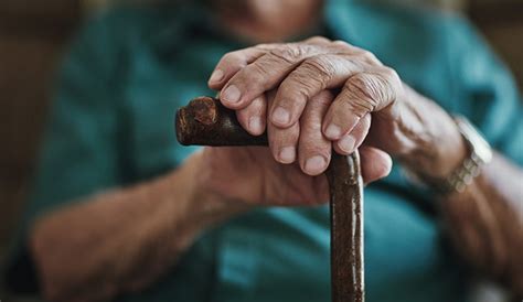 Defining Aging | Harvard Medical School