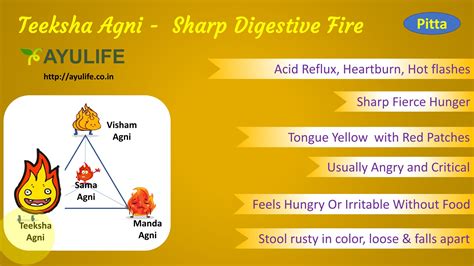 Digestive Fire In Ayurveda