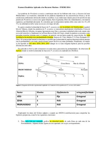 EXAMEN 2016 ENERO Resuelto Pdf